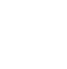 Hampton School Logo